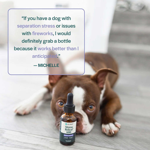 Digestive Releaf Hip & Joint Releaf 600 Pets - Vitamins & Supplements Pet Releaf