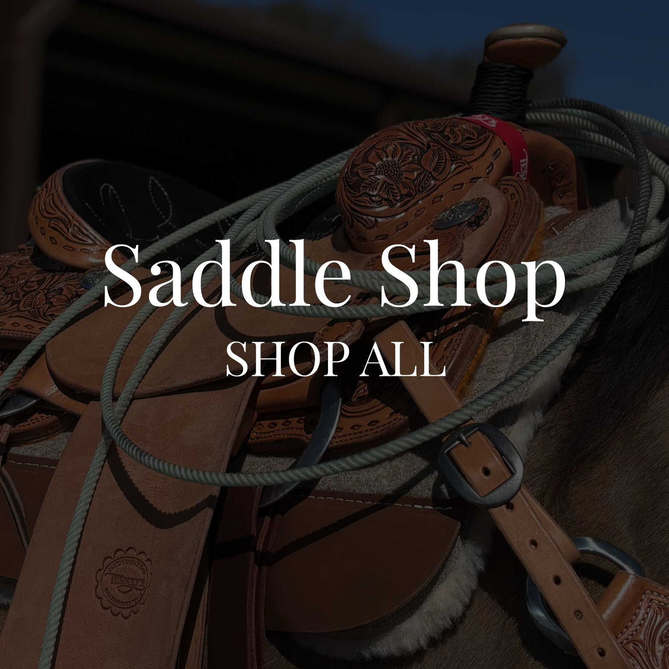 Saddle Shop