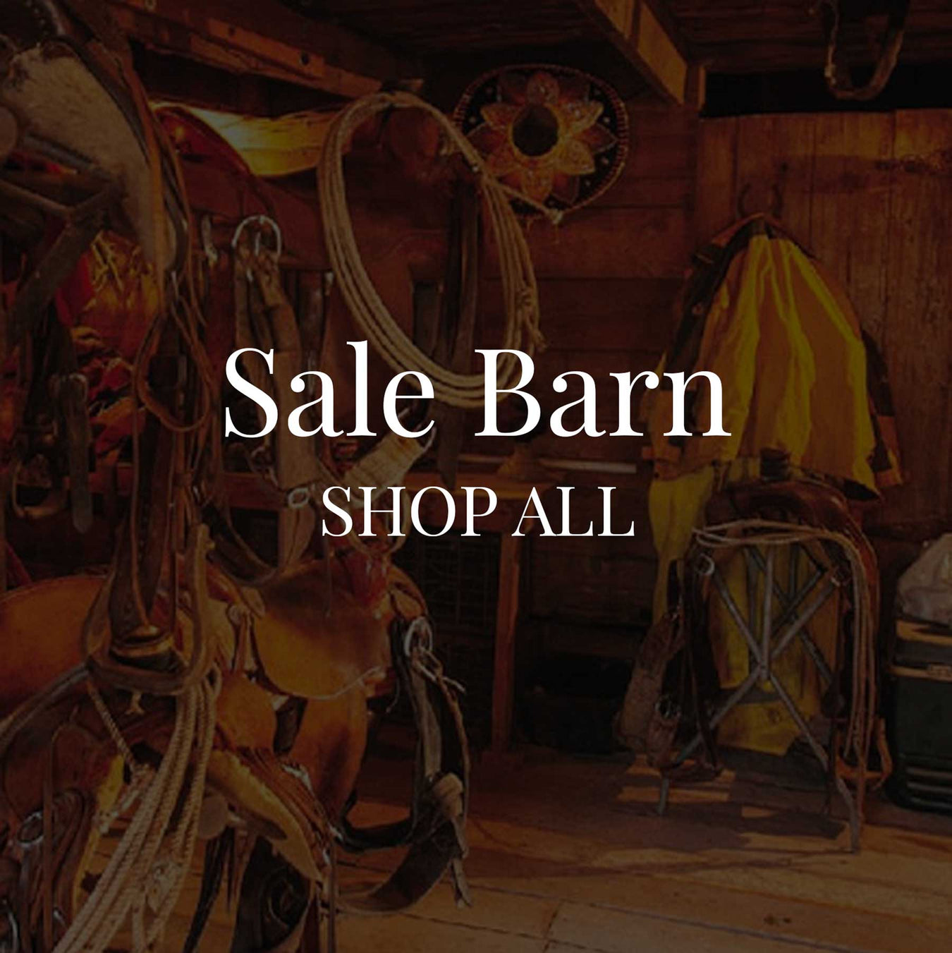 Teskey's Sale Barn