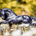 Breyer Sjored KIDS - Accessories - Toys Breyer   