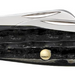 Case Buffalo Horn Jig Medium Stockman Knives W.R. Case   