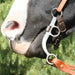 Bob Avila Training Three Piece Copper Roller Bit Tack - Bits Professional's Choice