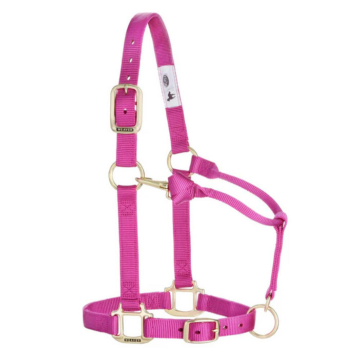 1" Adjustable Chin & Throat Snap Halter for Weanling/Pony Tack - Halters & Leads Weaver Raspberry