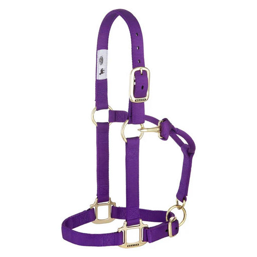 1" Adjustable Chin & Throat Snap Halter for Weanling/Pony Tack - Halters & Leads Weaver Purple