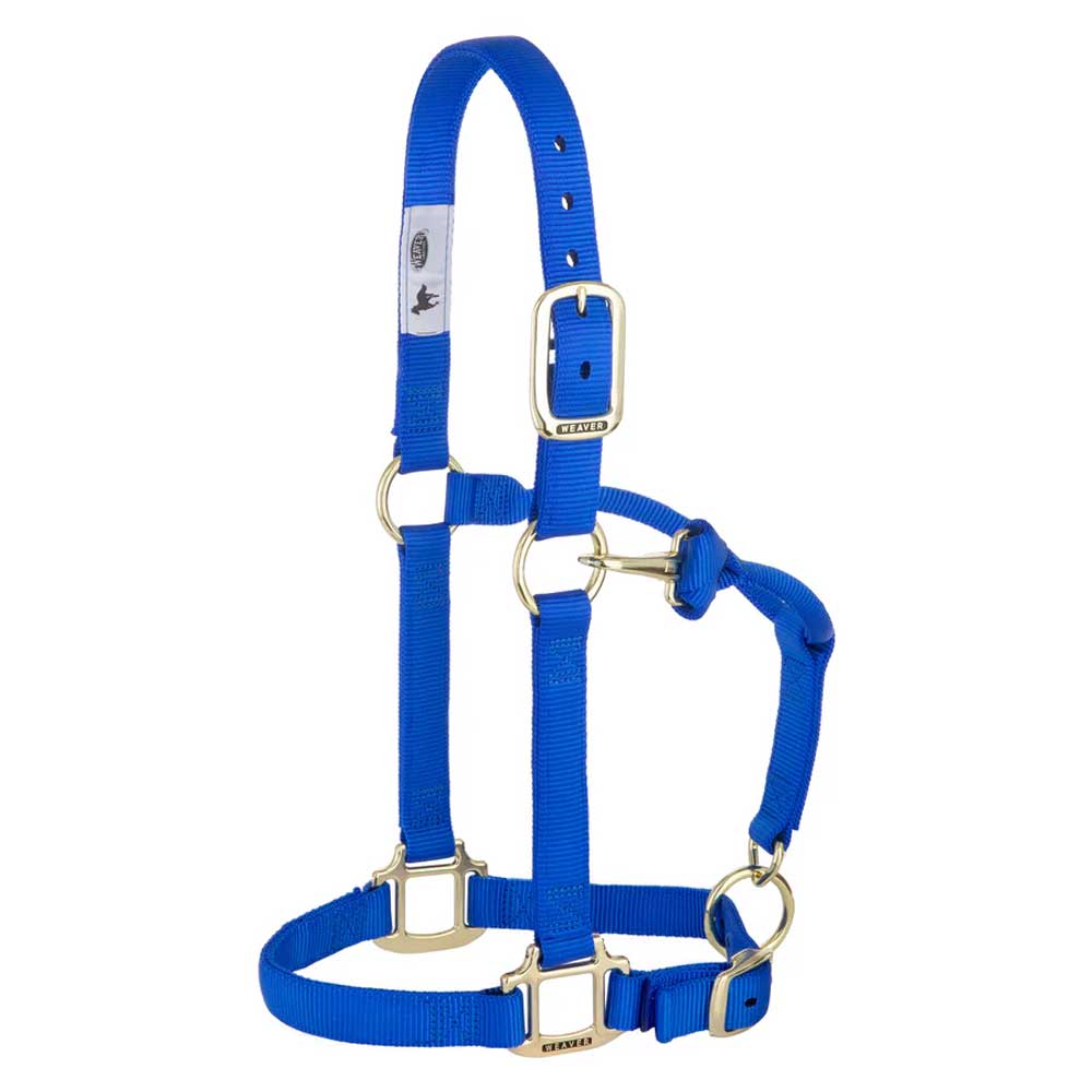 Weaver 1" Nylon Halter w/Adjustable Chin & Throat Snap Tack - Halters & Leads Weaver Blue Small Horse