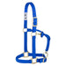 1" Adjustable Chin & Throat Snap Halter for Weanling/Pony Tack - Halters & Leads Weaver Blue