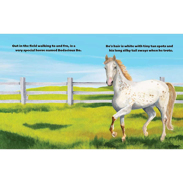 Bodacious Bo's Barn Bash HOME & GIFTS - Books Hwin and Little Bear Press