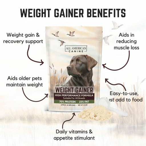Weight Gainer Food Topper Pets - Vitamins & Supplements All American Canine