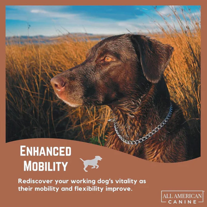 Hip & Joint Support Soft Chews