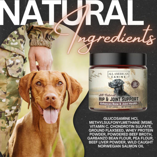 Hip & Joint Support Soft Chews Pets - Vitamins & Supplements All American Canine