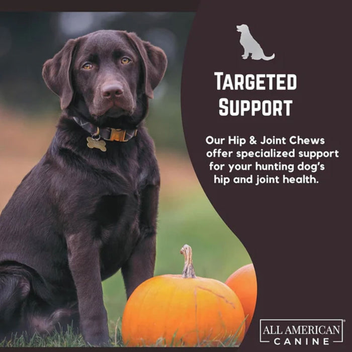 Hip & Joint Support Soft Chews