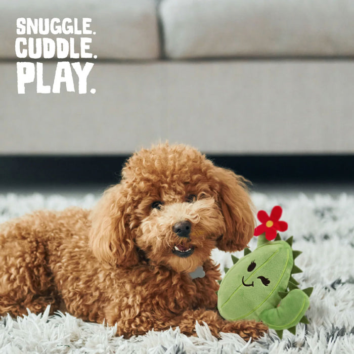 Chloe the Cactus - Merry Chloe