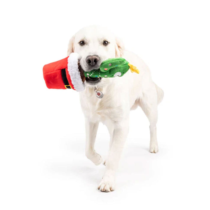 Seek 'n Treat Prickly & Bright Pawt Dog Toy