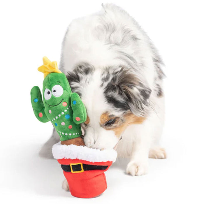 Seek 'n Treat Prickly & Bright Pawt Dog Toy