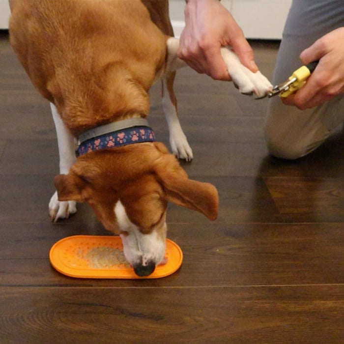 Oval Silicone Lick Pad with Suction Cups