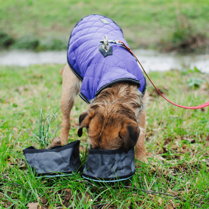Snaffle Pack Portable Pet Bowl Set Pets - Feeding & Watering Henry Wag