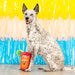 Petshop Muttchelada Dog Toy Pets - Toys & Treats PetShop.Fringestudio