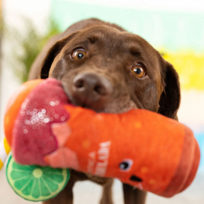 Petshop Muttchelada Dog Toy Pets - Toys & Treats PetShop.Fringestudio