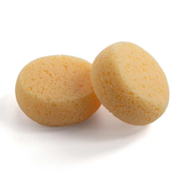 Tandy Leather - Leathercraft Sponge Round 2 Pack