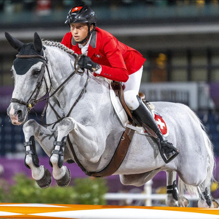 Breyer Clooney 51 | Retired