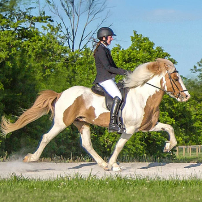 Breyer Sporður frá Bergi | Retired