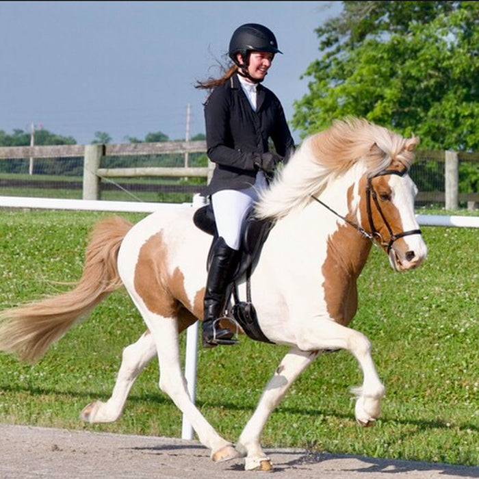 Breyer Sporður frá Bergi | Retired