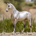 Breyer Pearly Grey Trakehner | Retired KIDS - Accessories - Toys Breyer