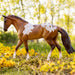 Breyer Red Dun Pintaloosa KIDS - Accessories - Toys Breyer