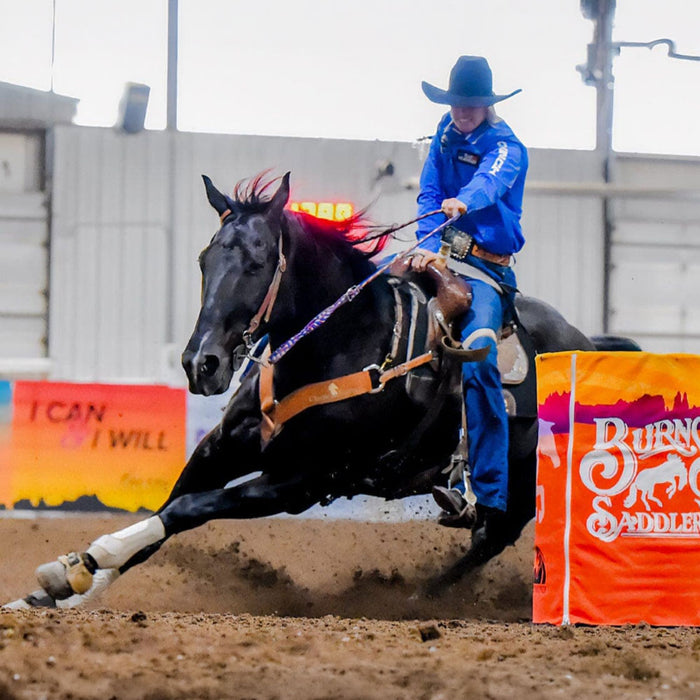 Breyer ATP Power | Amberley Snyder's Barrel Racer KIDS - Accessories - Toys Breyer