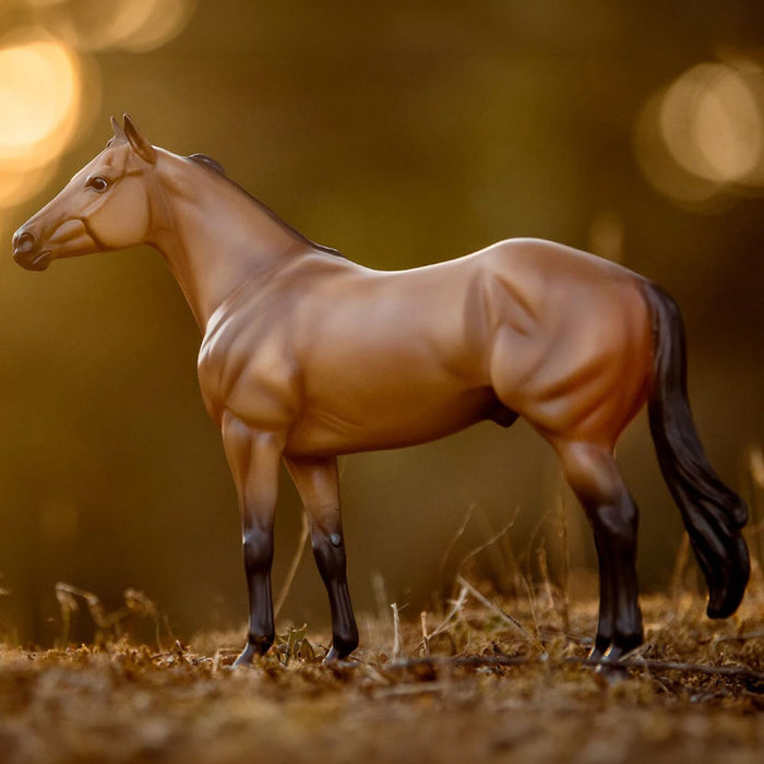 Breyer The Ideal Series | Buckskin HOME & GIFTS - Toys Breyer