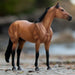Breyer The Ideal Series | Buckskin HOME & GIFTS - Toys Breyer