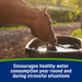 Farnam Apple Elite Electrolytes Equine - Supplements Farnam