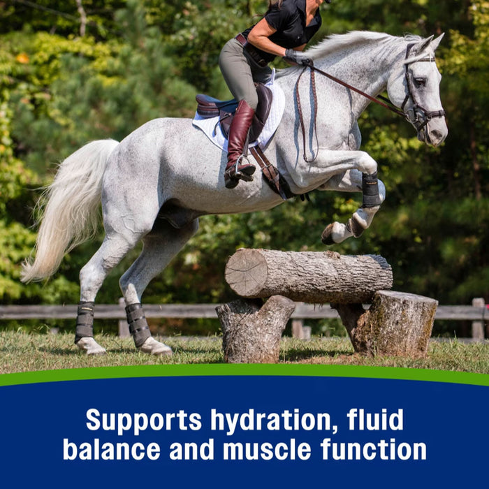Farnam Apple Elite Electrolytes Equine - Supplements Farnam