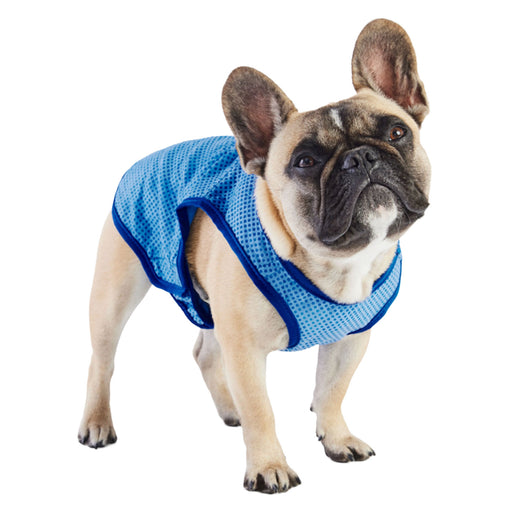 Elasto-Fit Ice Vest - Blue Pets - Outerwear GF PET