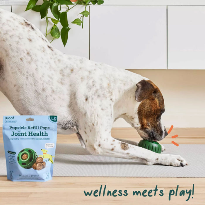 Joint Health Pupsicle Pops Refill Pets - Toys & Treats Woof