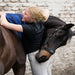 Cool on Track Towel Equine - Therapeutic Back on Track