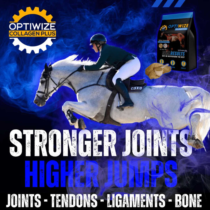 Optiwize 10-N-1 Equine Joint Supplement Equine - Supplements Optiwize