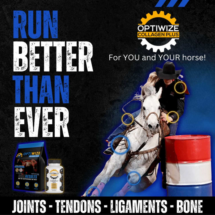 Optiwize 10-N-1 Equine Joint Supplement Equine - Supplements Optiwize