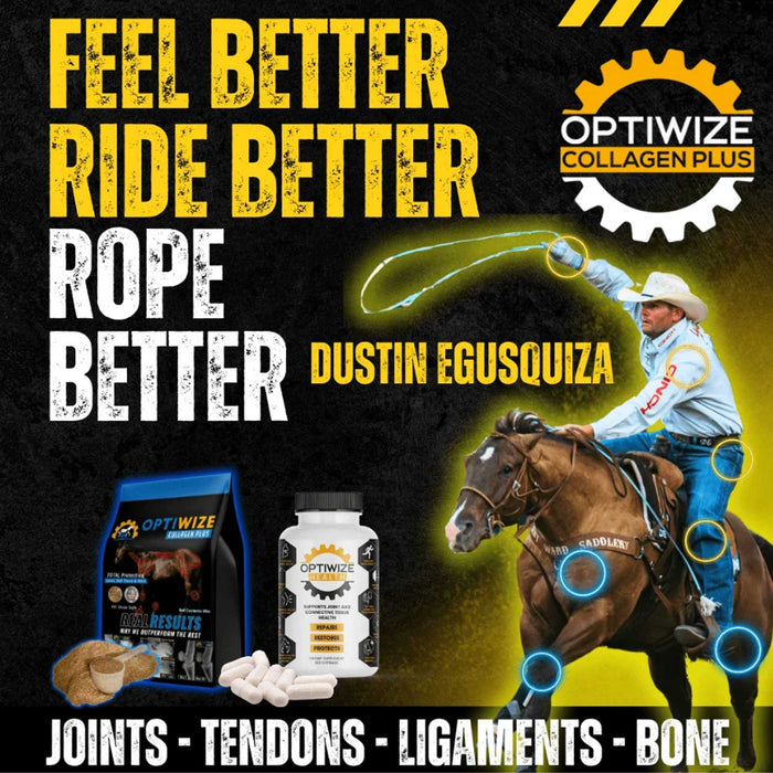 Optiwize 10-N-1 Equine Joint Supplement Equine - Supplements Optiwize