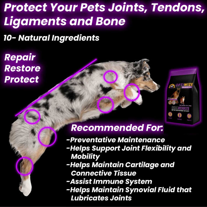 Optiwize 10-N-1 Dog & Cat Joint Health Supplement Pets - Vitamins & Supplements Optiwize