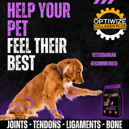 Optiwize 10-N-1 Dog & Cat Joint Health Supplement Pets - Vitamins & Supplements Optiwize