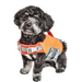 Helios Dog Life Jacket Pets - Accessories DogHelios