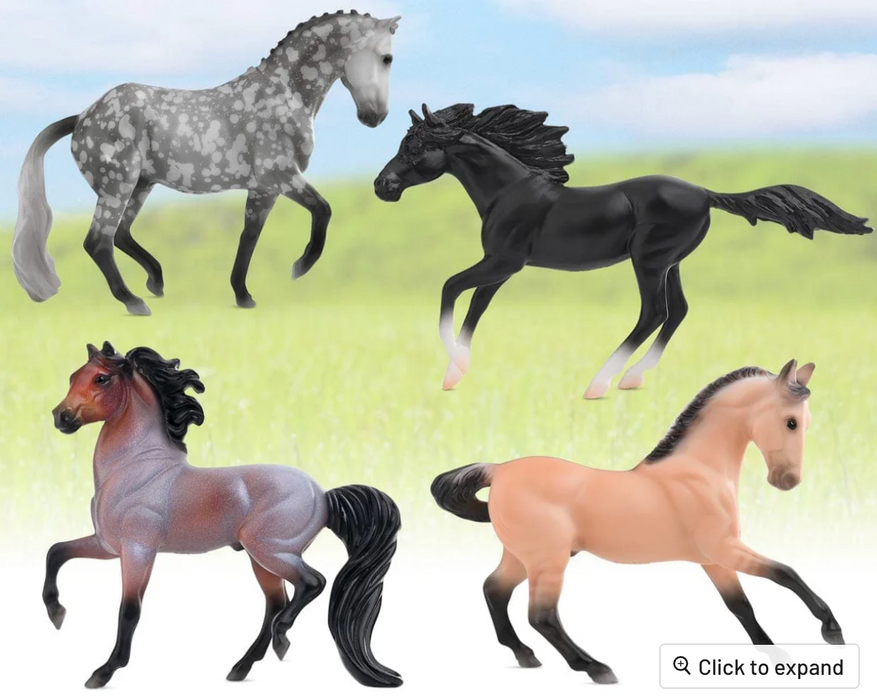 Breyer Poetry in Motion Gift Set