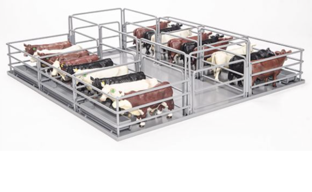 Little Buster Feedlot