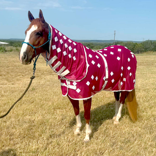 Equine Care