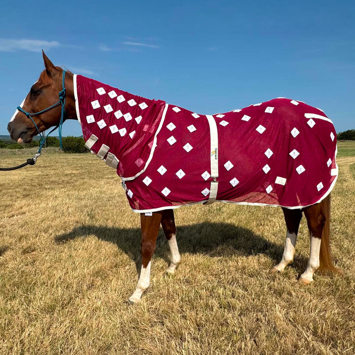 Seven Saddles Premium Magnetic Therapy Blanket