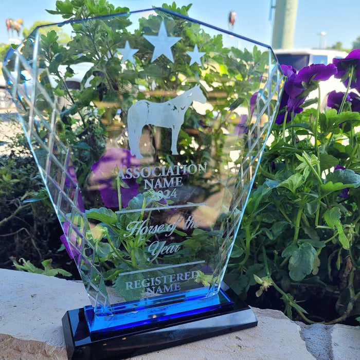 Engravable Glass Trophy Customs & Awards - MISC Trophy Small