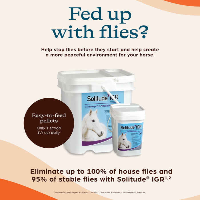 Zoetis Solitude IGR Fly Control Equine - Fly & Insect Control Zoetis
