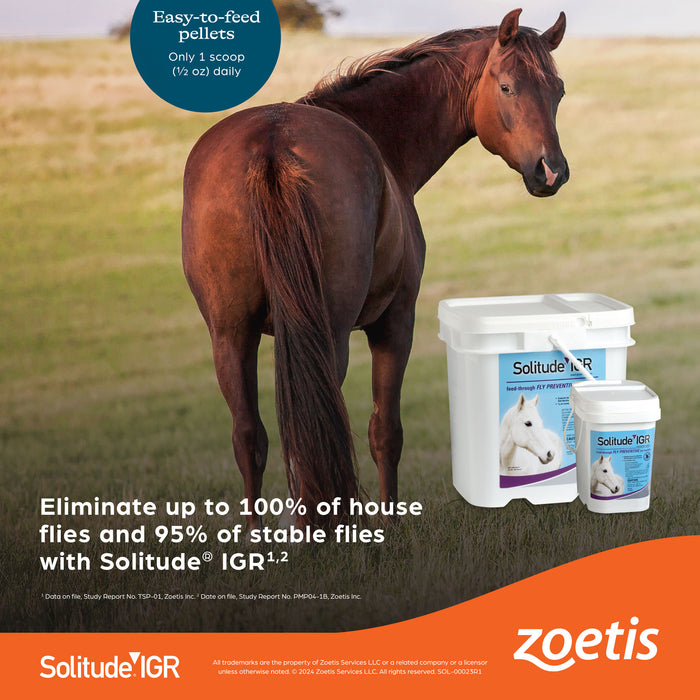 Zoetis Solitude IGR Fly Control Equine - Fly & Insect Control Zoetis