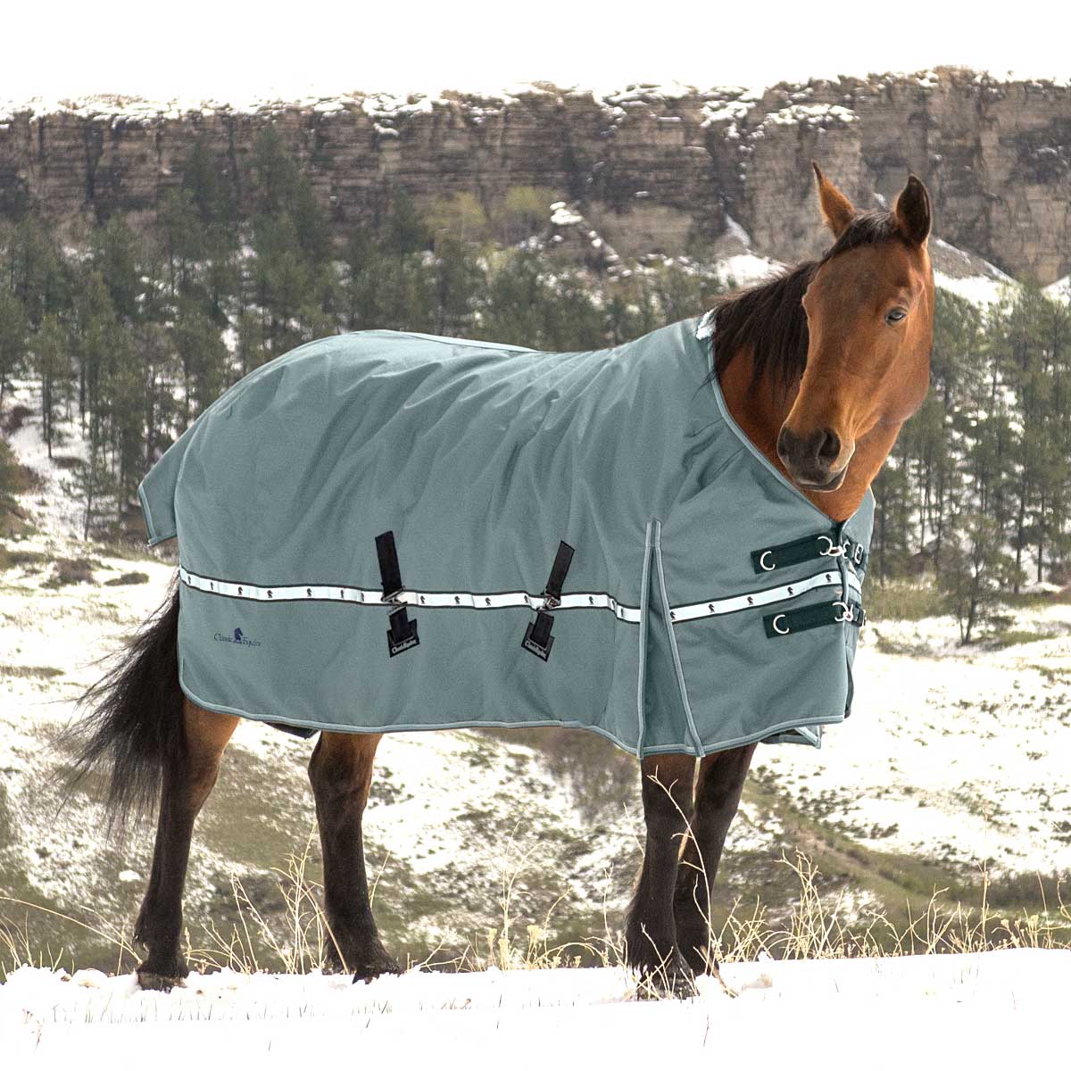 Classic Equine 5K Cross Trainer Winter Blanket - Surf Sale Tack - Blankets & Sheets Classic Equine   